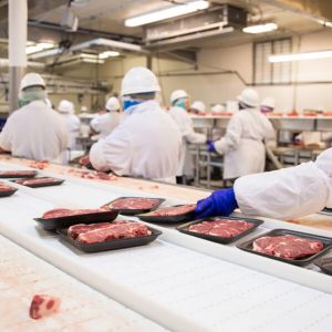 Meat And Seafood Industry